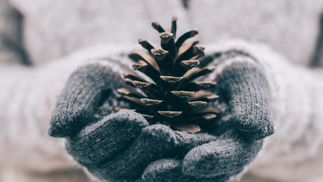 Which Gloves are Best, Cashmere, Leather or Silk?