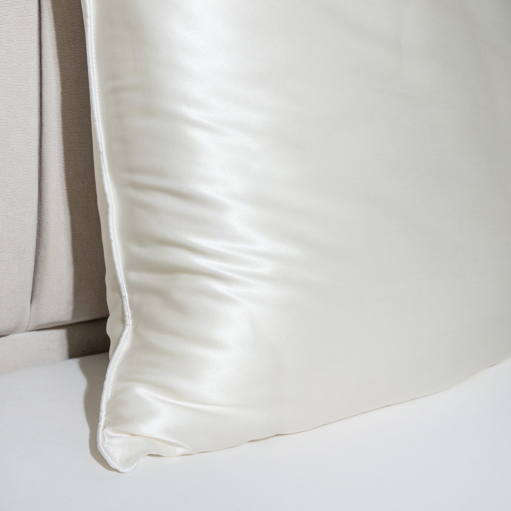 Pure Mulberry Silk-Filled Silk Covered Pillow
