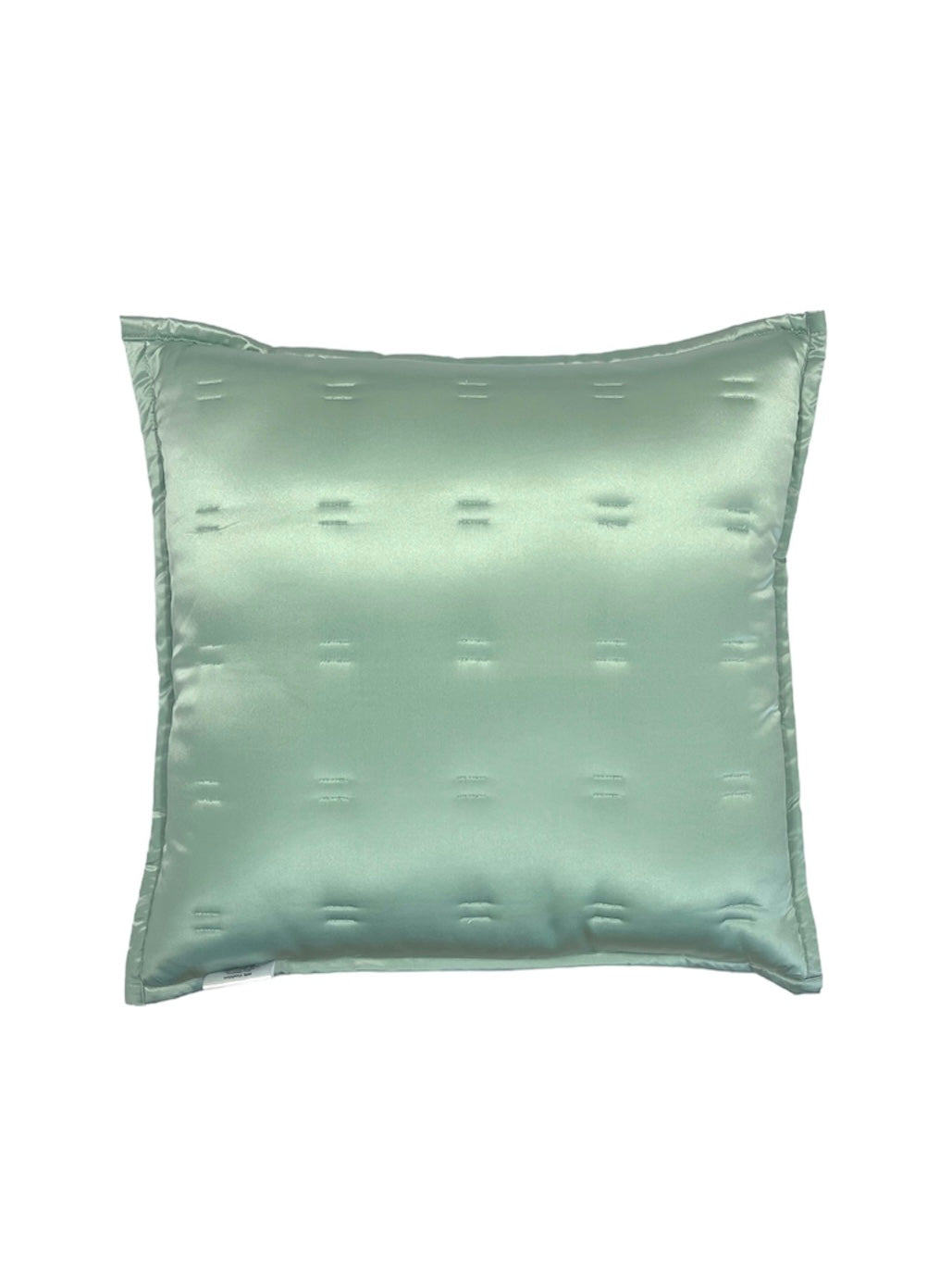 Duck Egg Pure Silk Cushion