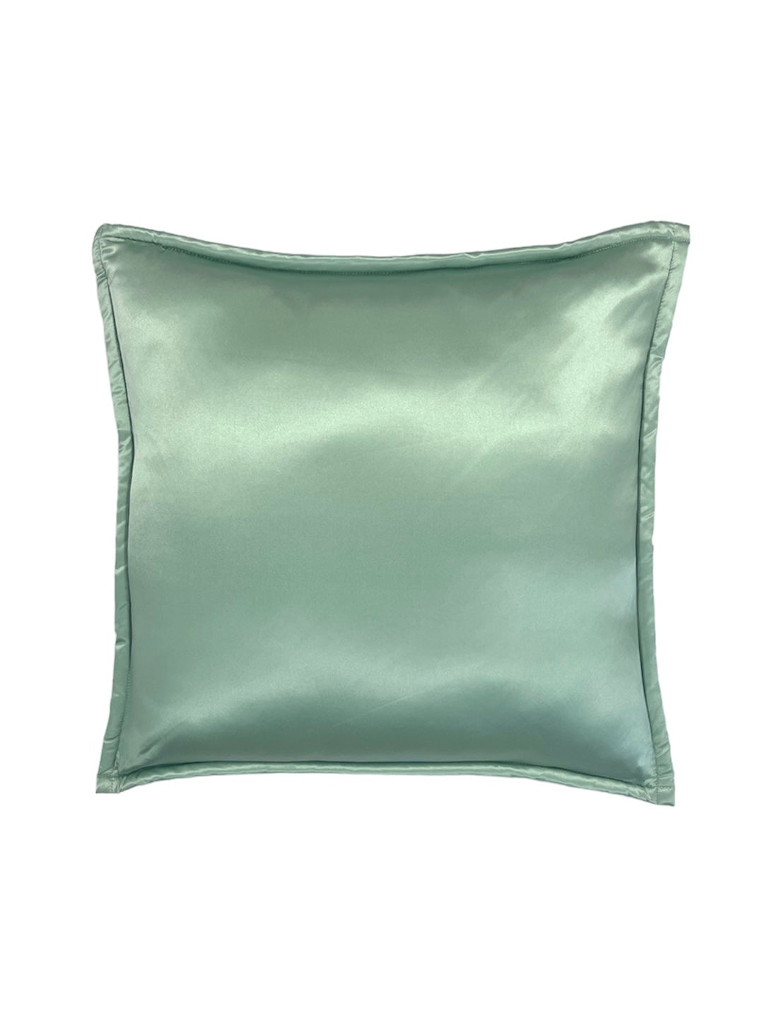 Duck Egg Pure Silk Cushion