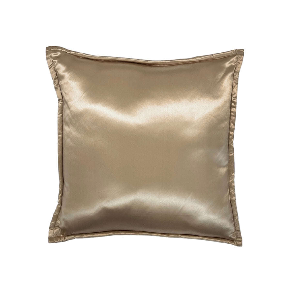 Taupe Pure Silk Cushion