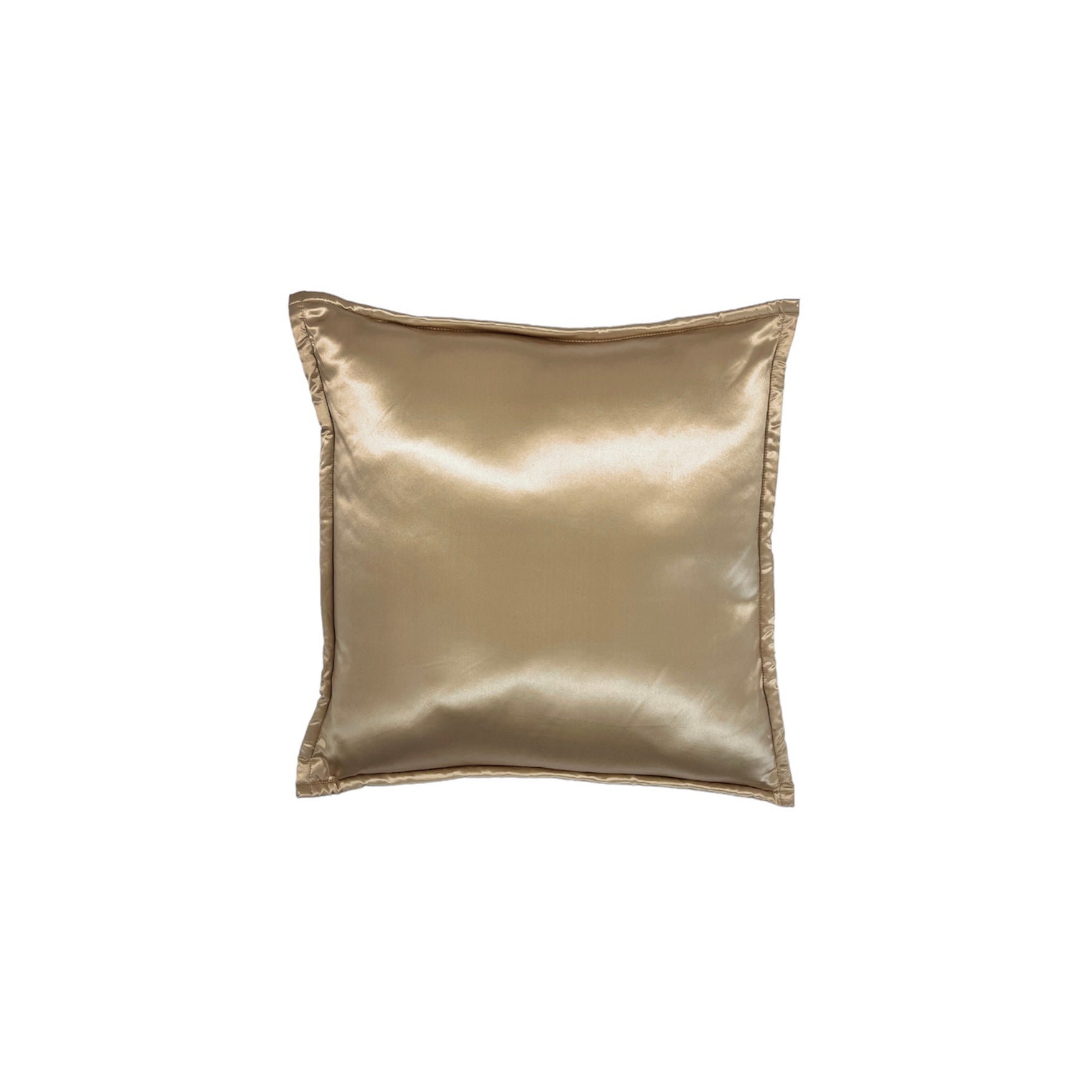 Taupe Pure Silk Cushion