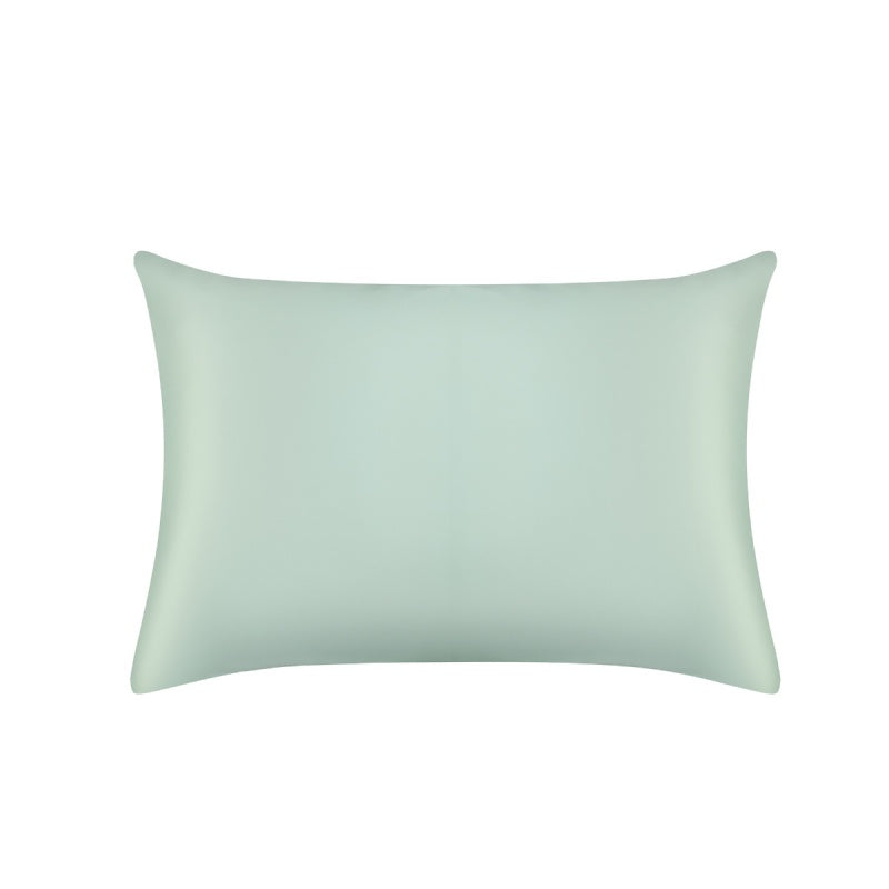 22 Momme Housewife Silk Pillowcase Duck Egg