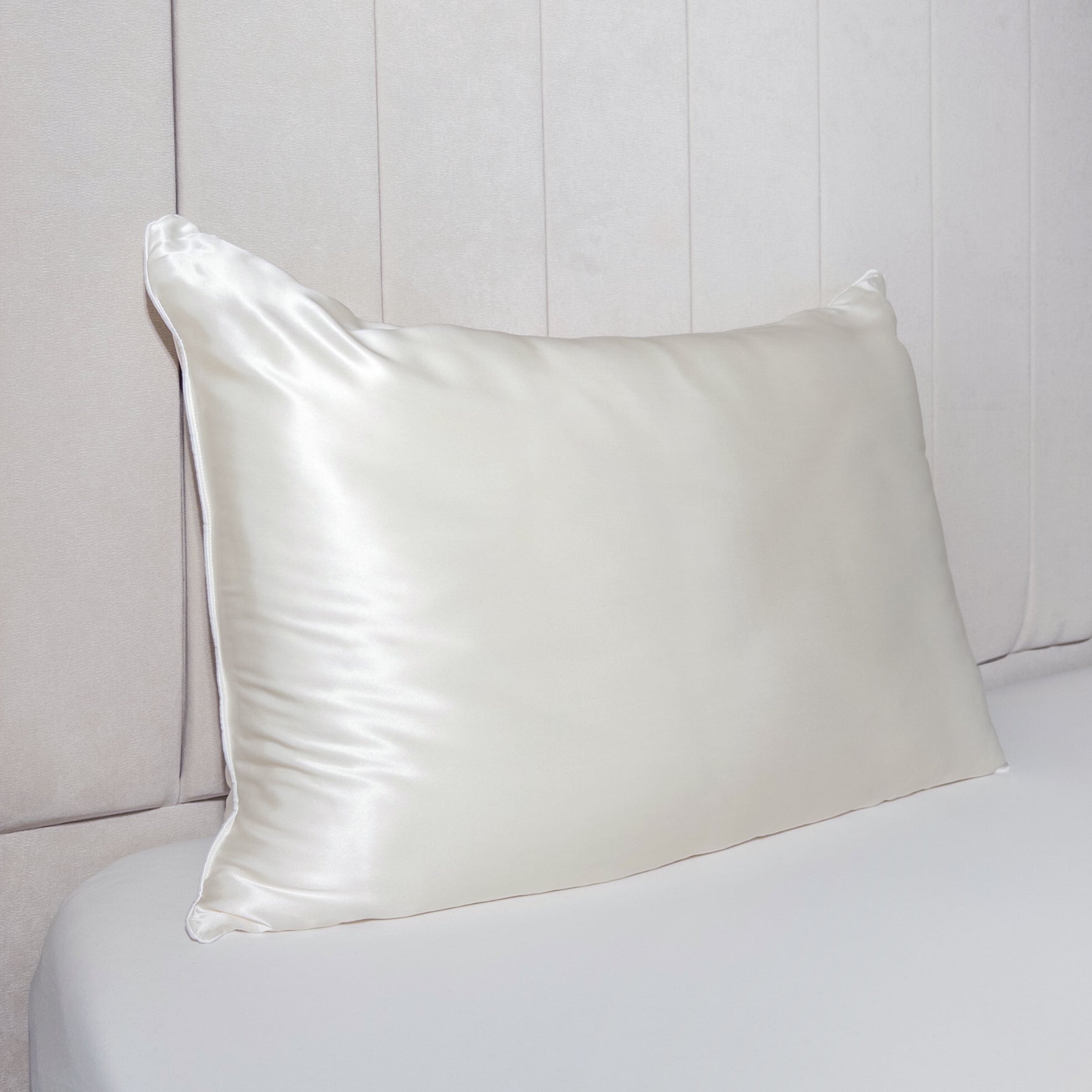Pure Mulberry Silk-Filled Silk Covered Pillow