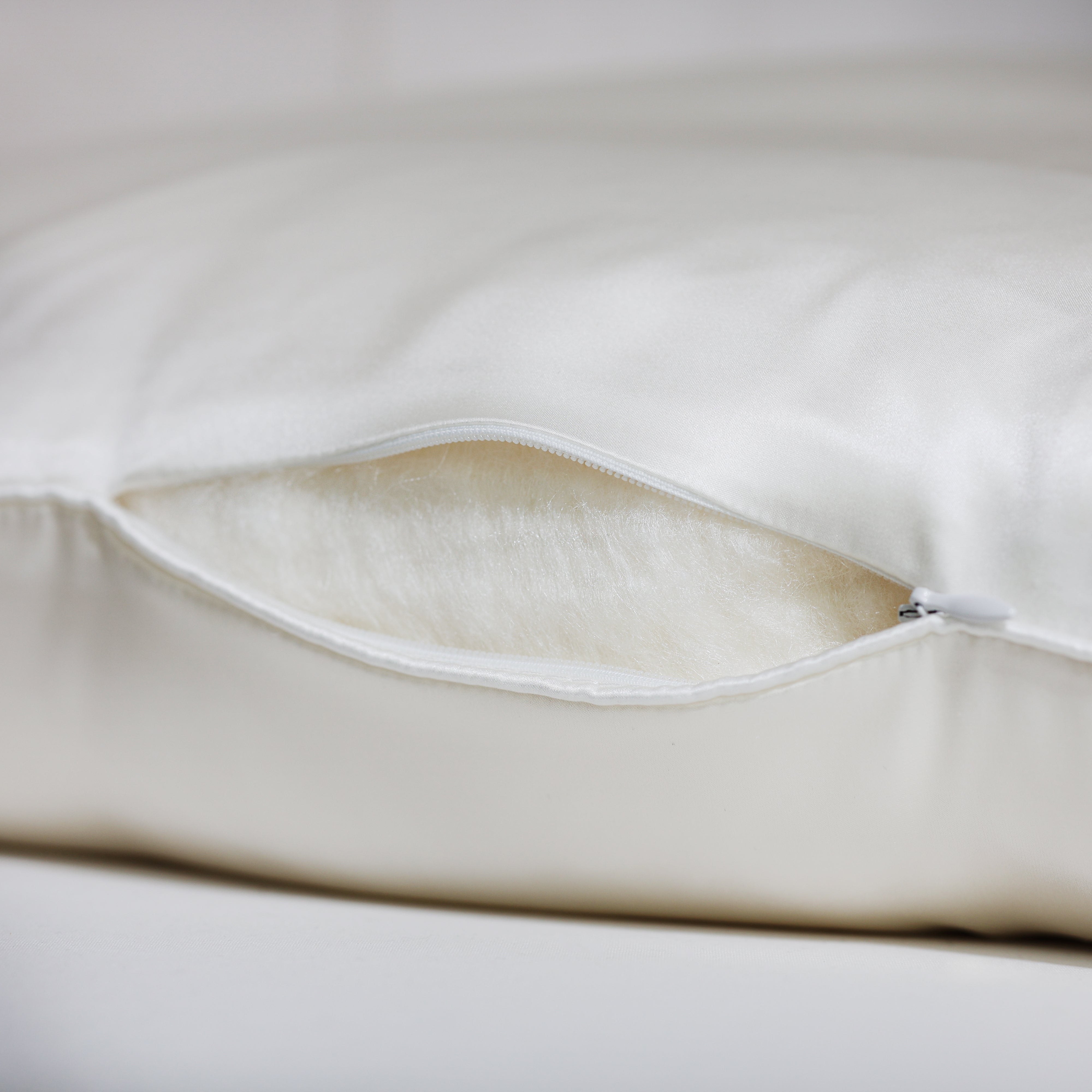 Pure Mulberry Silk-Filled Silk Covered Pillow