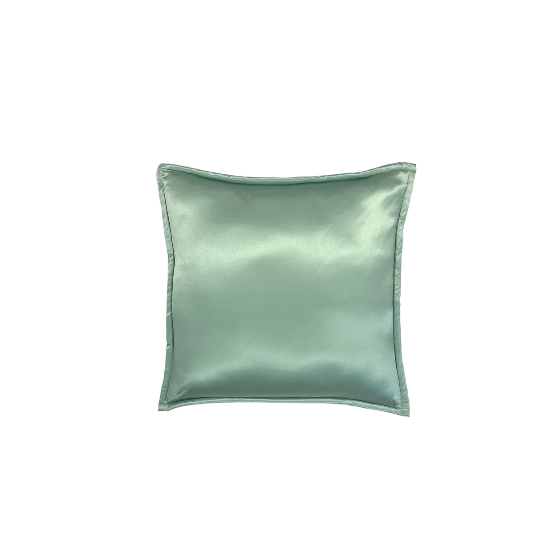 Duck Egg Pure Silk Cushion