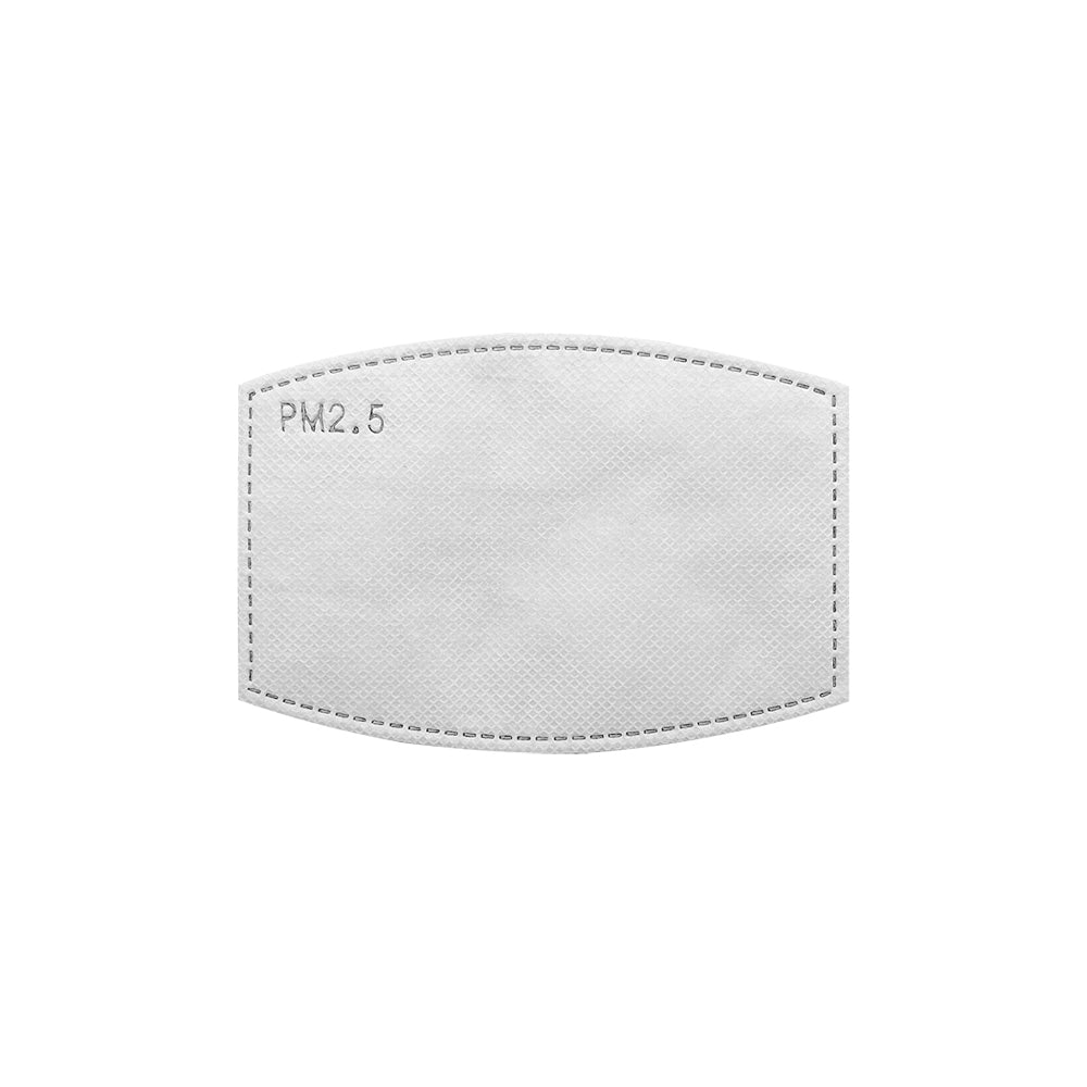 Silk Face Mask