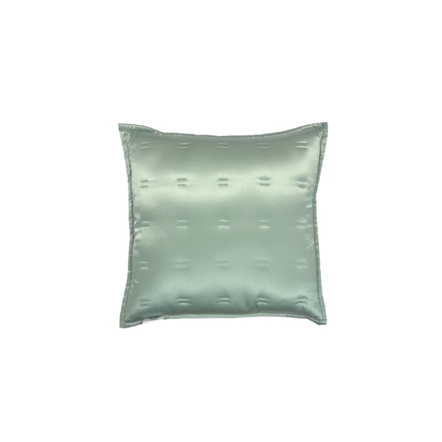 Duck Egg Pure Silk Cushion