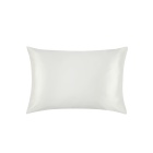 22 Momme Housewife Silk Pillowcase