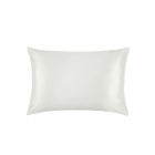 22 Momme  Housewife Silk Pillowcase