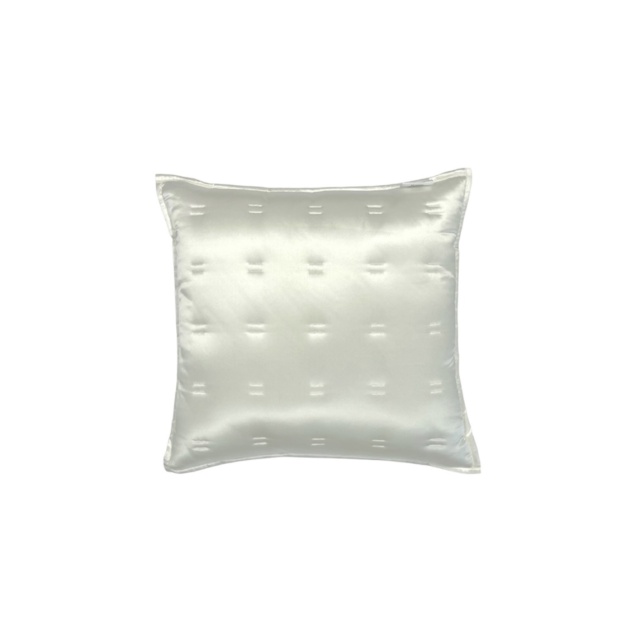 Ivory Pure Silk Cushion